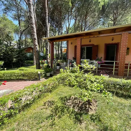 Villa Seafront With A Stunning Garden *