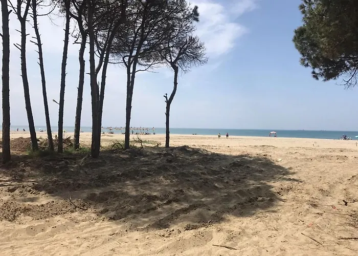 Seafront With A Stunning Garden